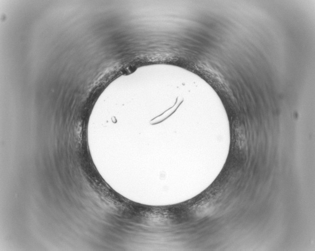 X0000088570308200706221258