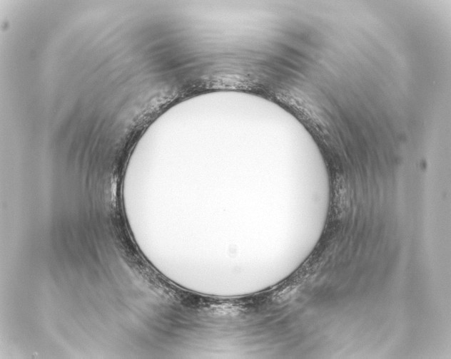 X0000088570310200706221258