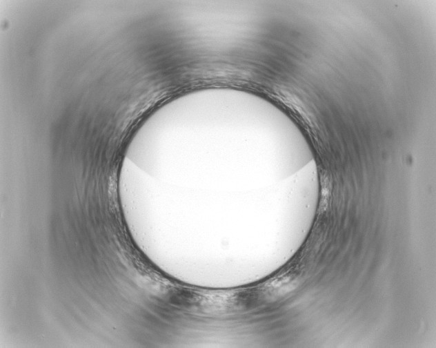 X0000088570314200706221258