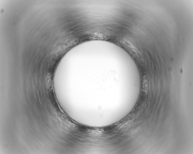X0000088570318200706221258