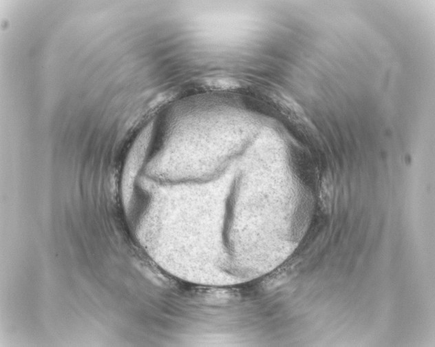 X0000088570330200706221257