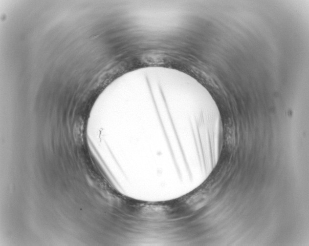 X0000088570332200706221257