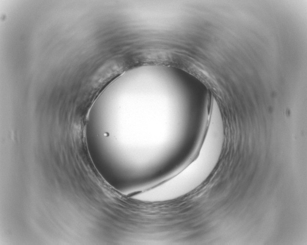 X0000088570333200706221257