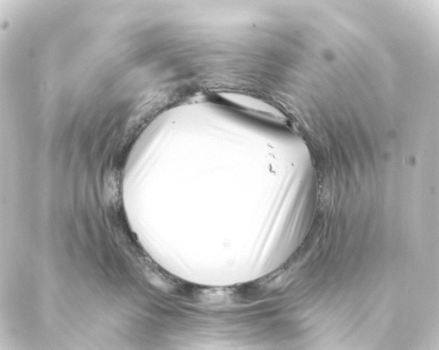 X0000088570335200706221257