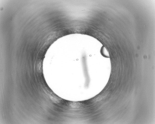 X0000088570336200706221257