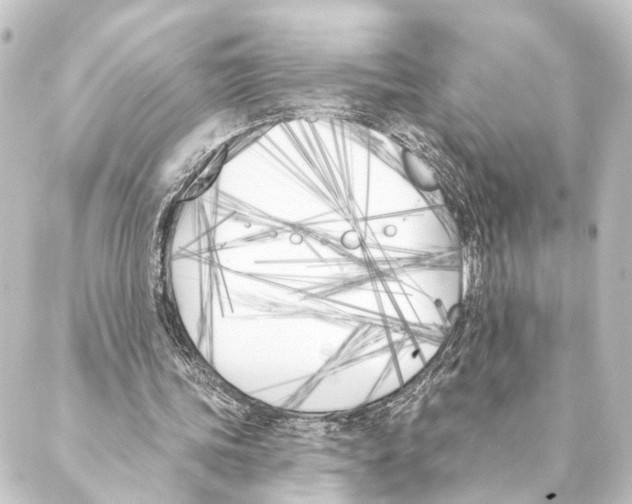 X0000088570339200706221257
