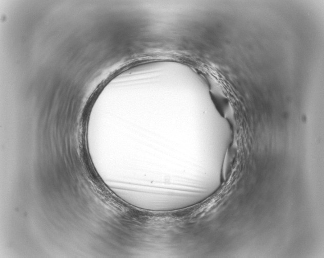 X0000088570342200706221257