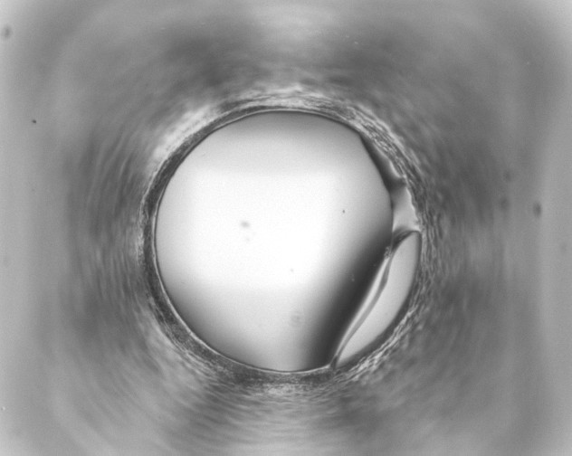 X0000088570344200706221257