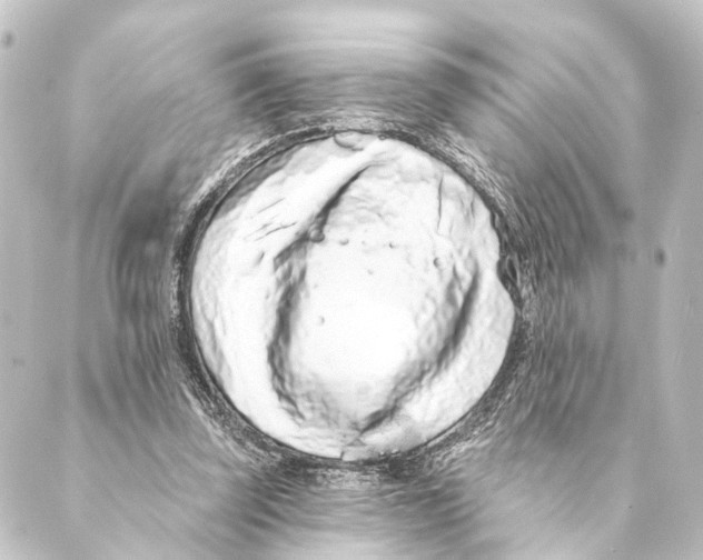 X0000088570347200706221257