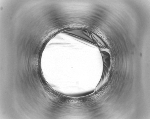 X0000088570348200706221257