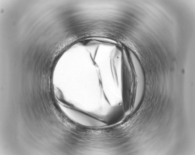 X0000088570349200706221257