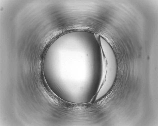 X0000088570350200706221257