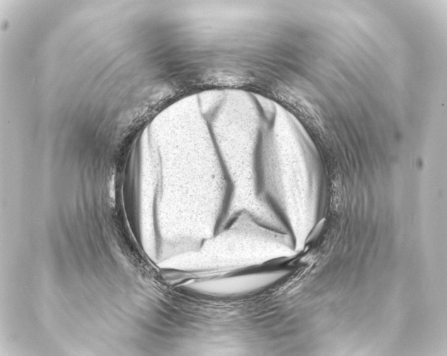 X0000088570358200706221257