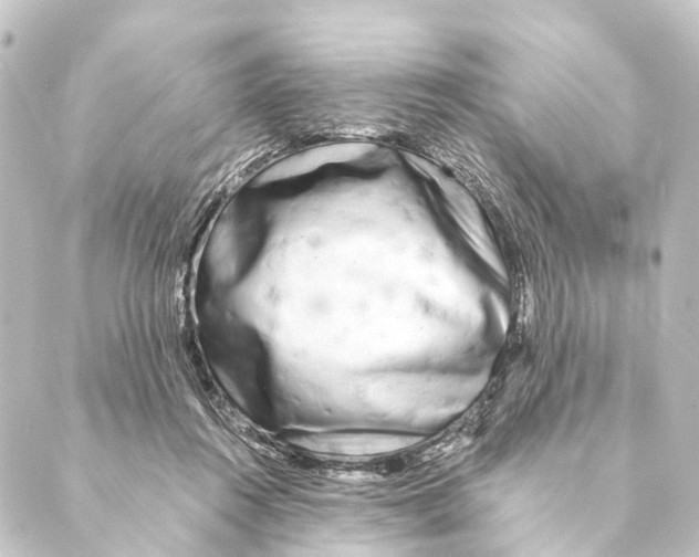X0000088570360200706221257