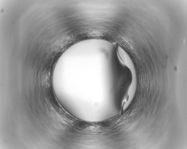 X0000088570364200706221257