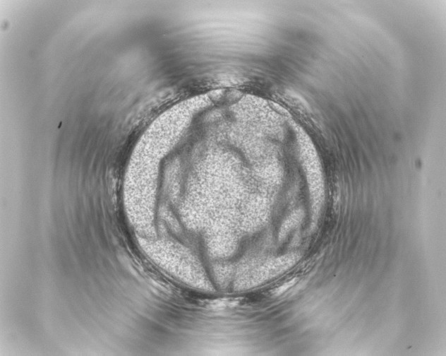 X0000088570366200706221257