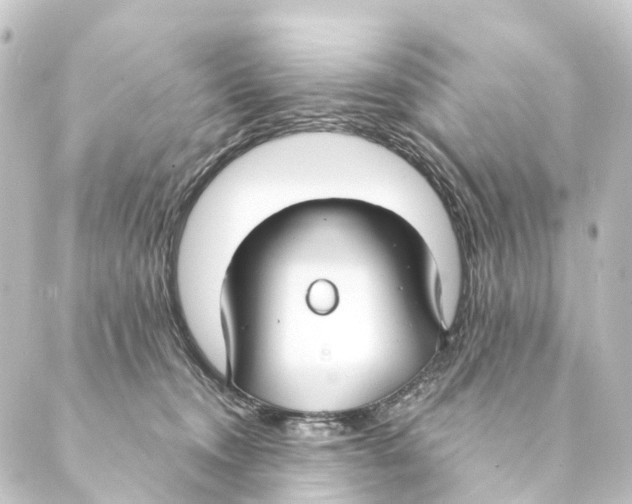 X0000088570372200706221257