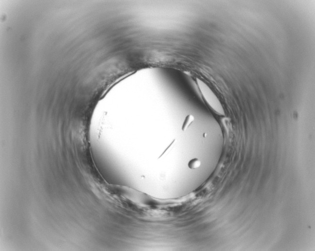 X0000088570380200706221257