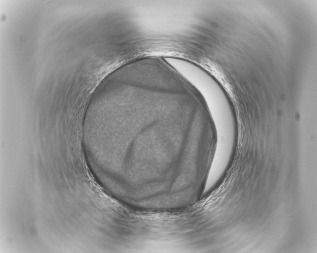 X0000088570385200706221257