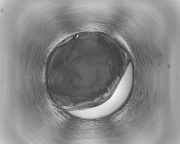 X0000088570387200706221257
