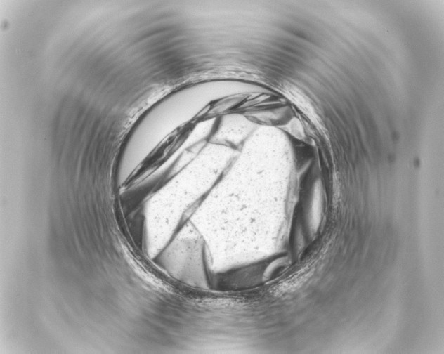 X0000088570389200706221256