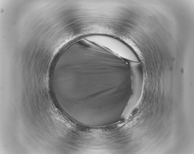 X0000088570391200706221256