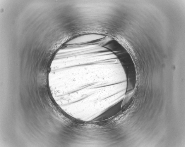 X0000088570393200706221256
