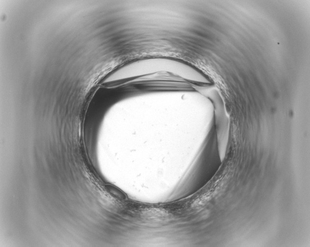 X0000088570397200706221256