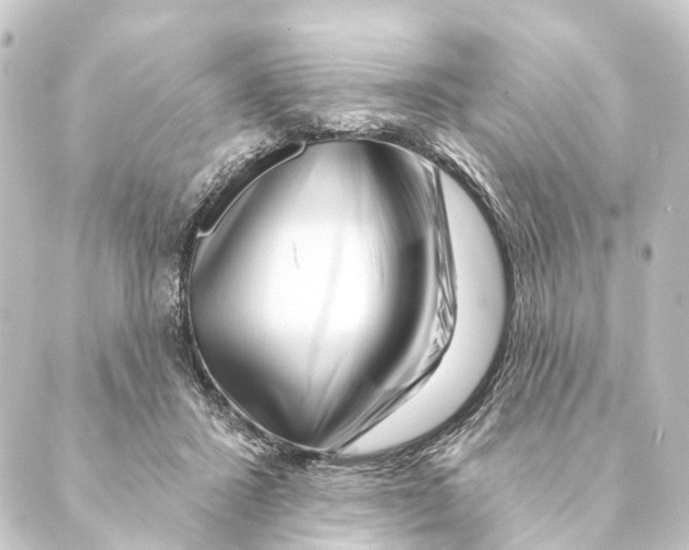 X0000088570407200706221256