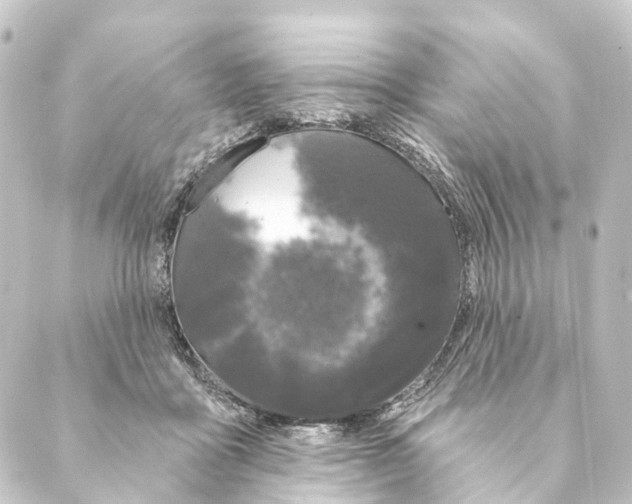 X0000088570411200706221256