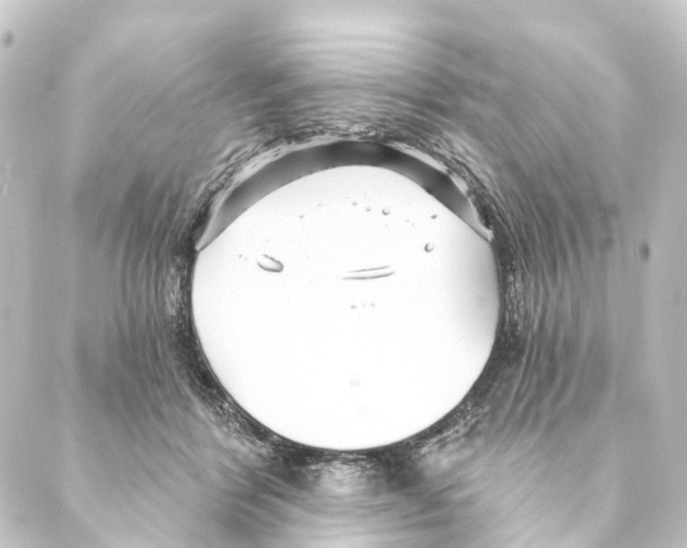 X0000088570412200706221256