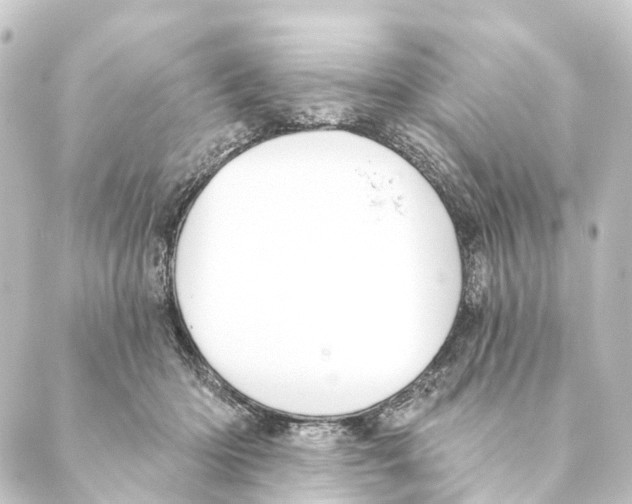 X0000088570414200706221256