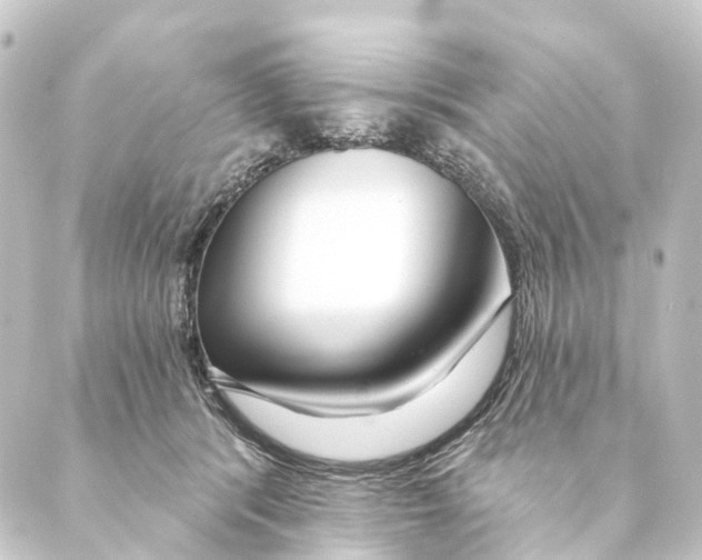 X0000088570416200706221256