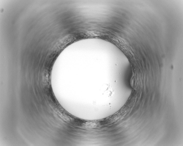 X0000088570418200706221256