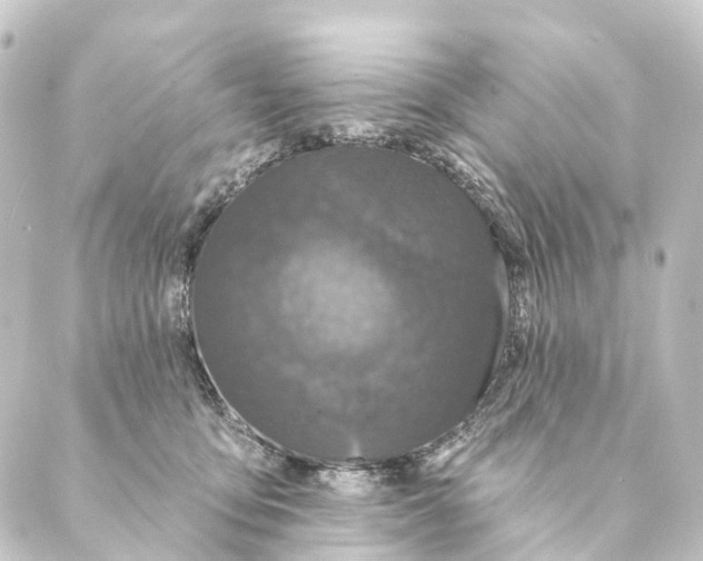 X0000088570419200706221256
