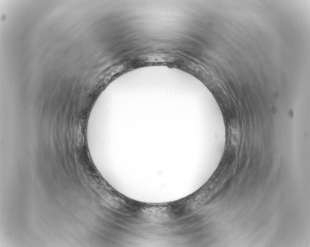 X0000088570422200706221256