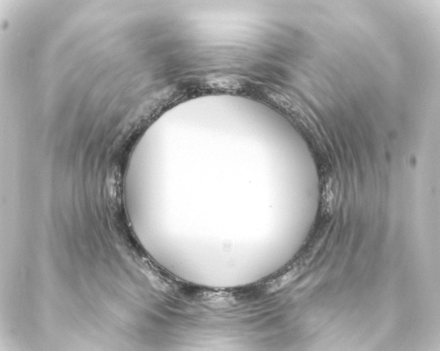 X0000088570424200706221256