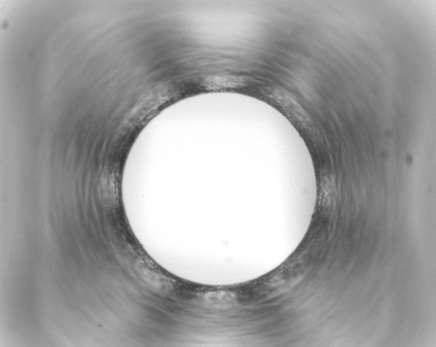 X0000088570426200706221256