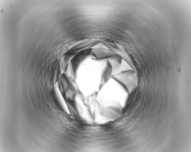 X0000088570428200706221256