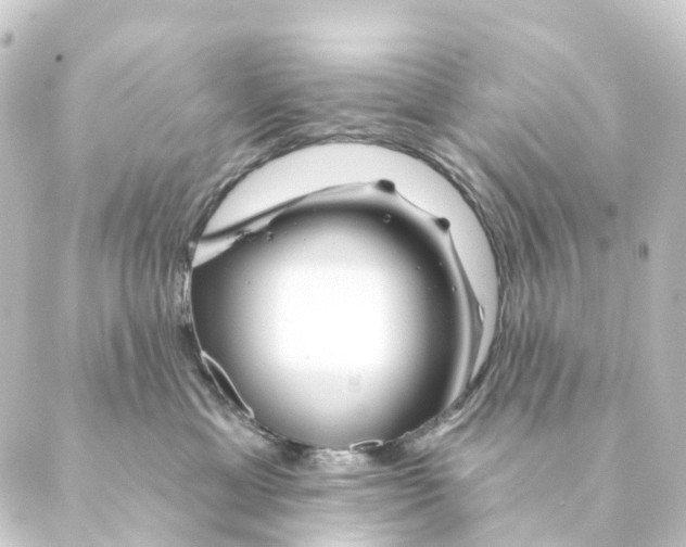 X0000088570429200706221256