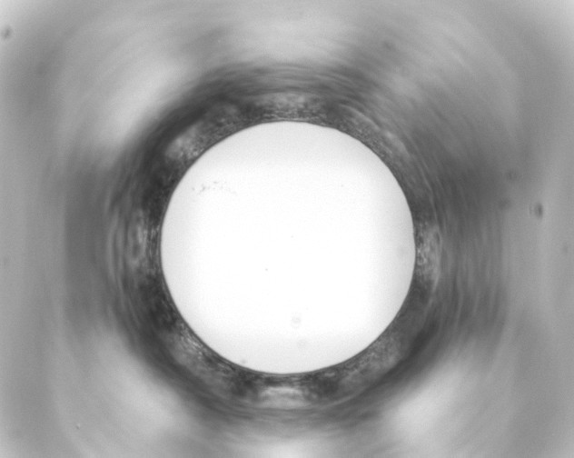 X0000088570430200706221256