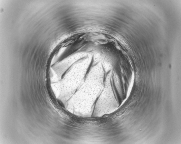 X0000088570438200706221255