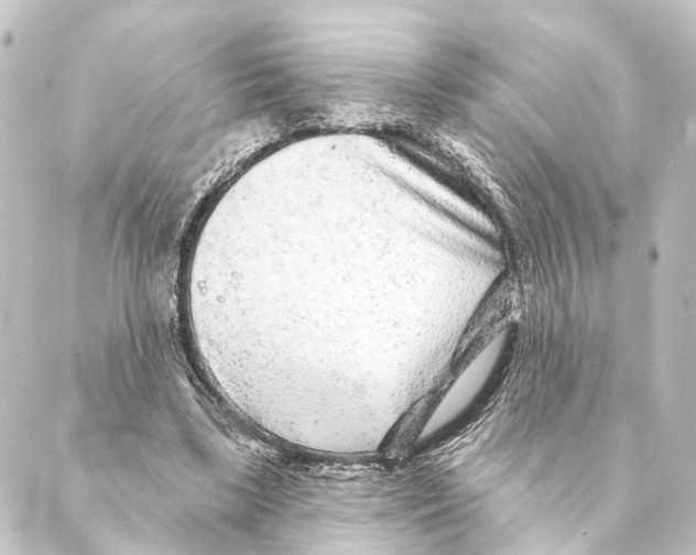 X0000088570443200706221255