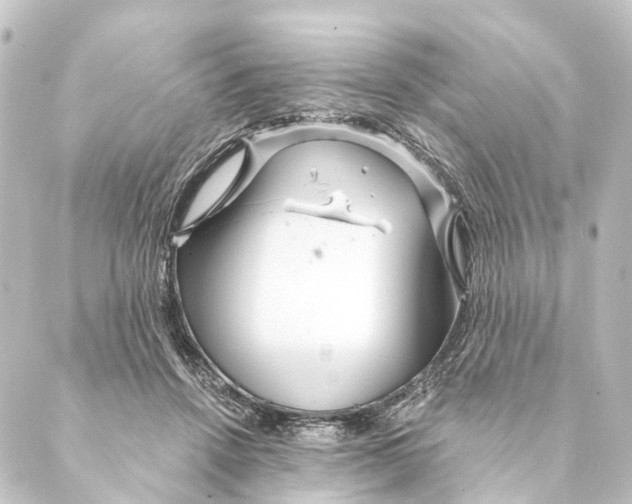 X0000088570456200706221255