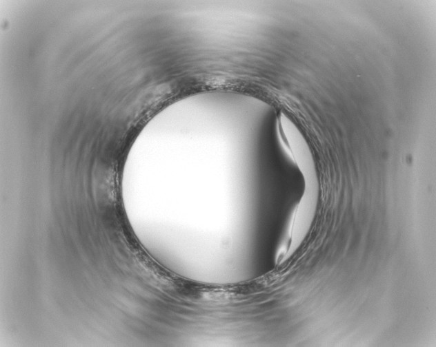 X0000088570470200706221256
