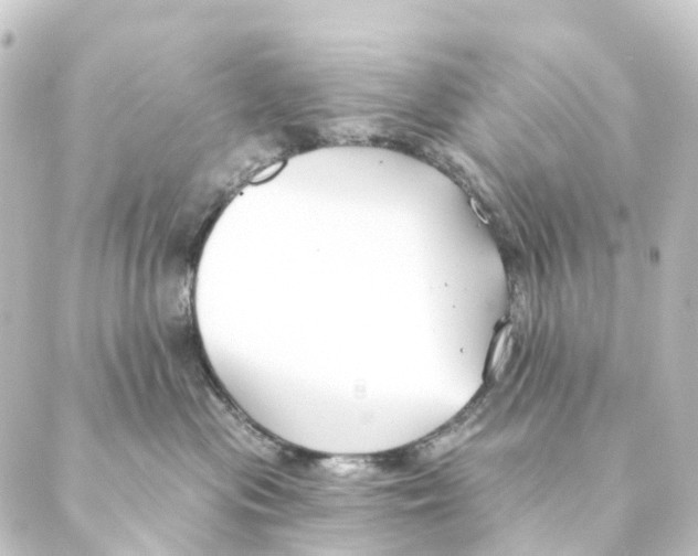 X0000088570477200706221256