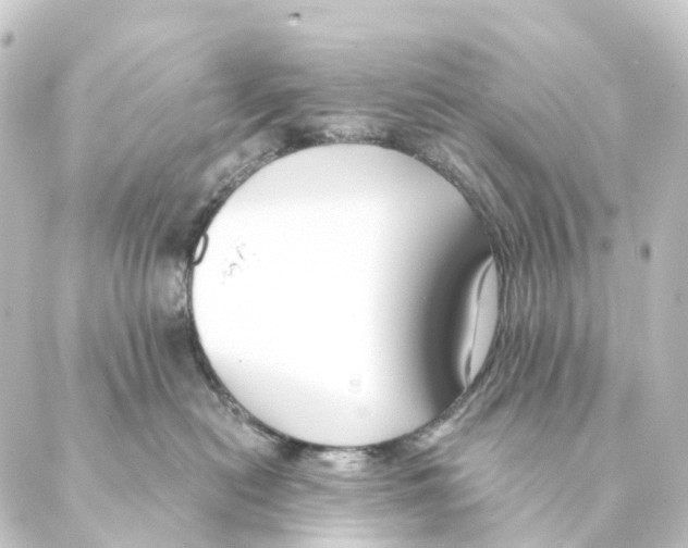 X0000088570478200706221256