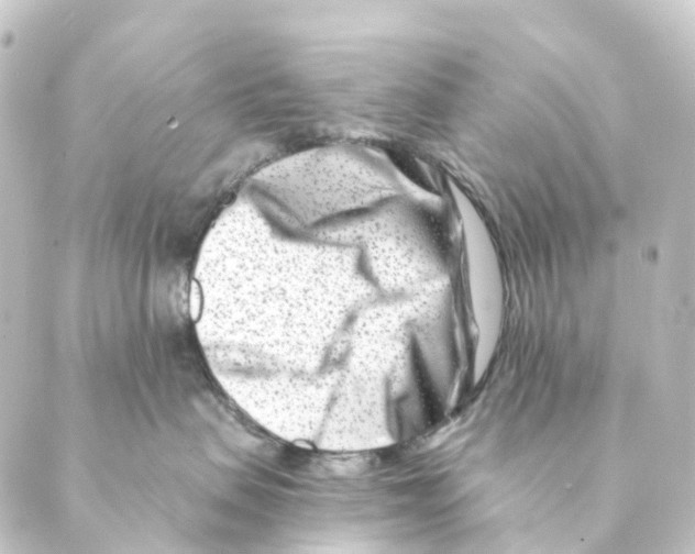 X0000088570479200706221256