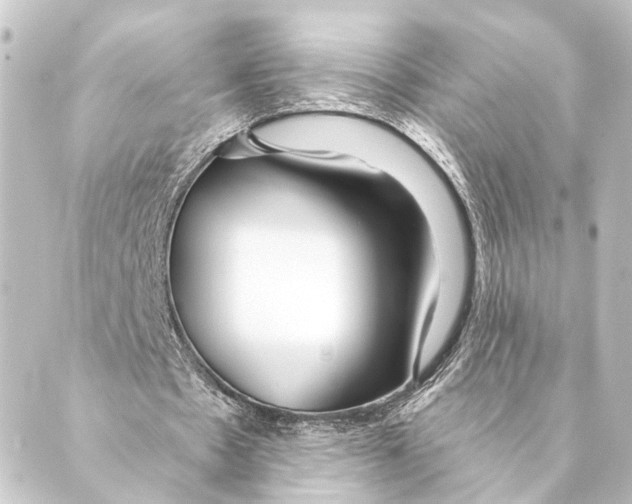 X0000088570481200706221255