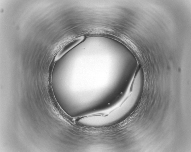 X0000088570485200706221255